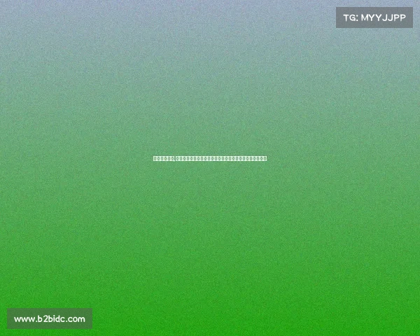 英超赛事查询,全面查询英超赛事涵盖最新赛程比分球队动态尽享精彩时刻